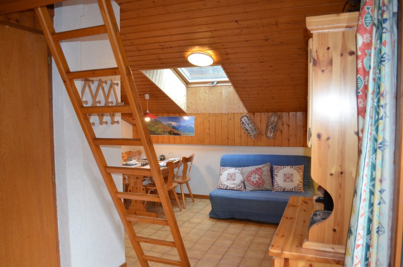 Appartement n°13 B dans résidence les Voinettes, Mezzanine, Châtel Portes du Soleil