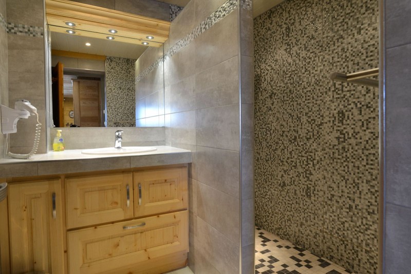 Apartment n°5 in chalet l'EPICEA, Shower room, Châtel
