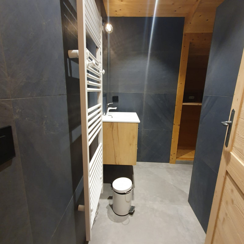 Apartment Oiseau de nuit, Shower room, Châtel Chairlift 74