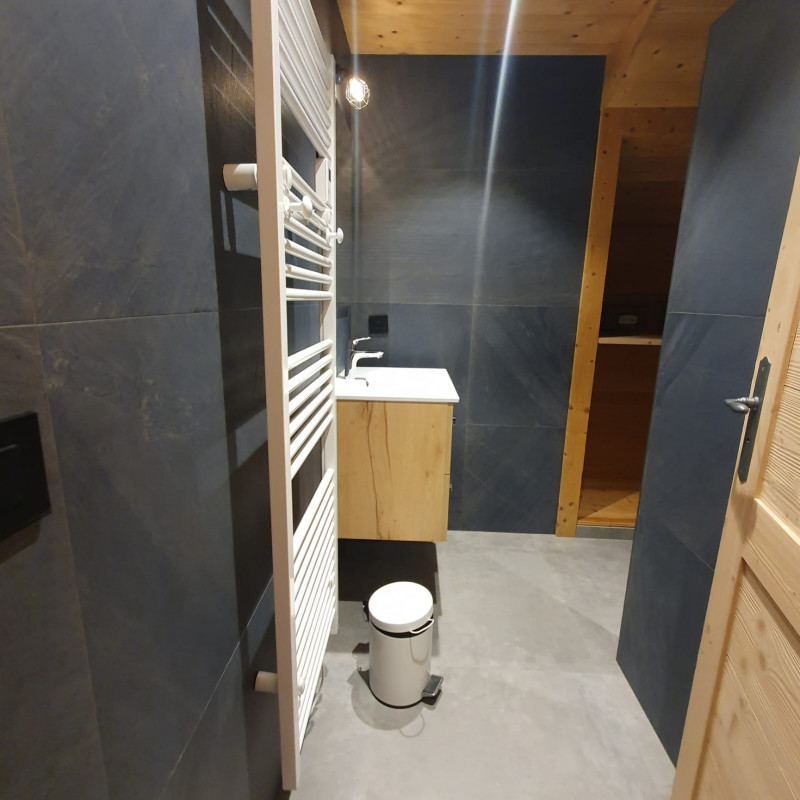 Appartement Oiseau de nuit, Salle de douche, Châtel Télésiège 74