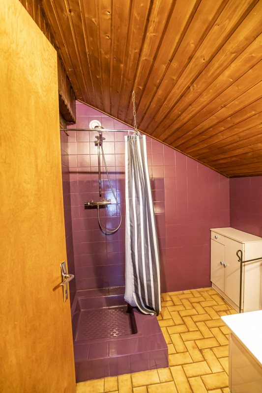 Appartement Vieux Four 01, Salle de bain, Séjour Châtel