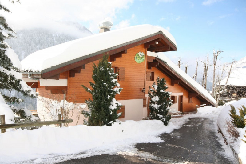 Balcon des Alpes 5, Extérieur, Châtel Matériel de ski