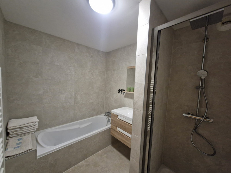 Snowball, bathroom, Châtel mountain ski chalet