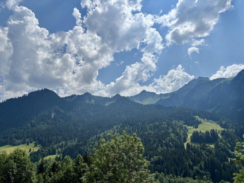 Chalet 4 Jillou, Mountain view, Chapelle d'Abondance, French Alpes
