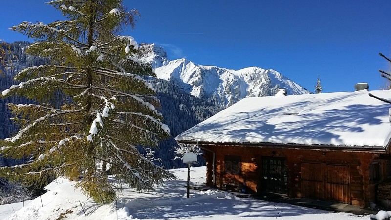  	Chalet Alban Châtel Resort