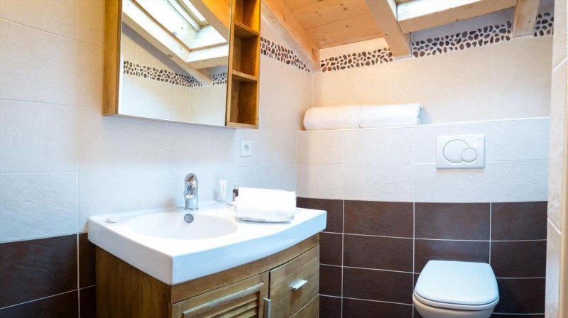 Chalet Anna 16 personnes Châtel Pré-la-Joux salle de bain