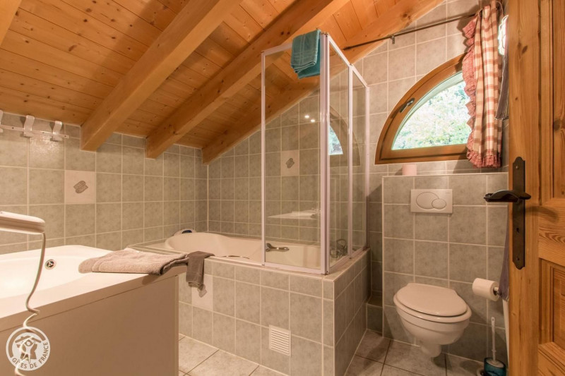 Chalet L'Orée du lac, Shower room for bedroom 6, Chatel, Eternal snow Chalet L'Orée du lac, Shower room for bedroom 6, Chatel, Eternal snow