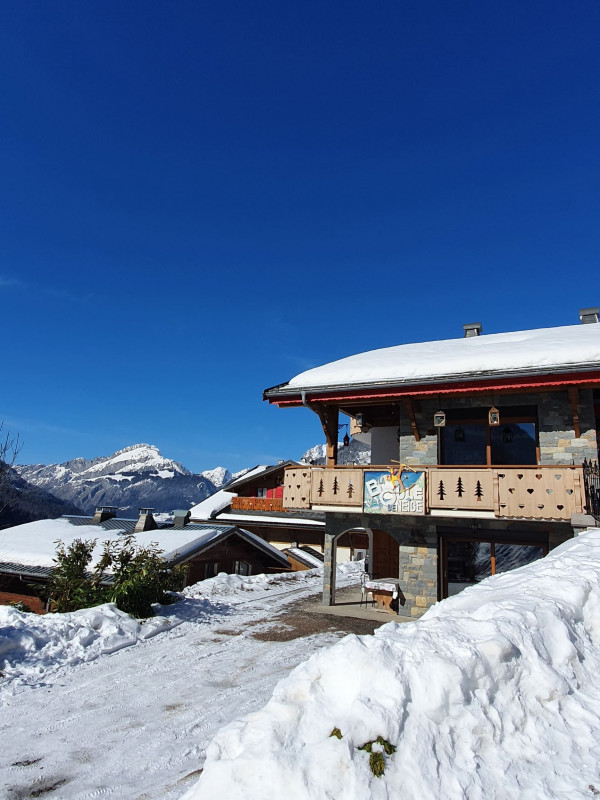 Chalet The Boule de Neige, Outside view, Châtel Snow