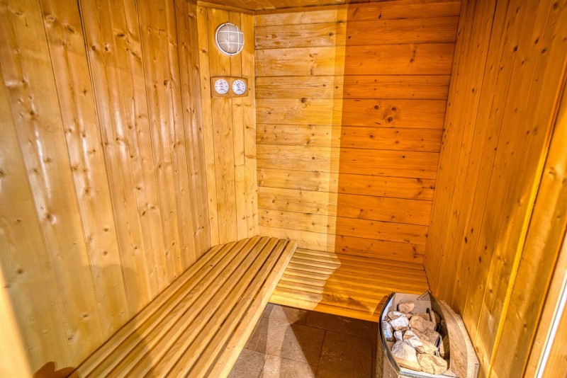 Chalet La Cascade sauna Châtel 74