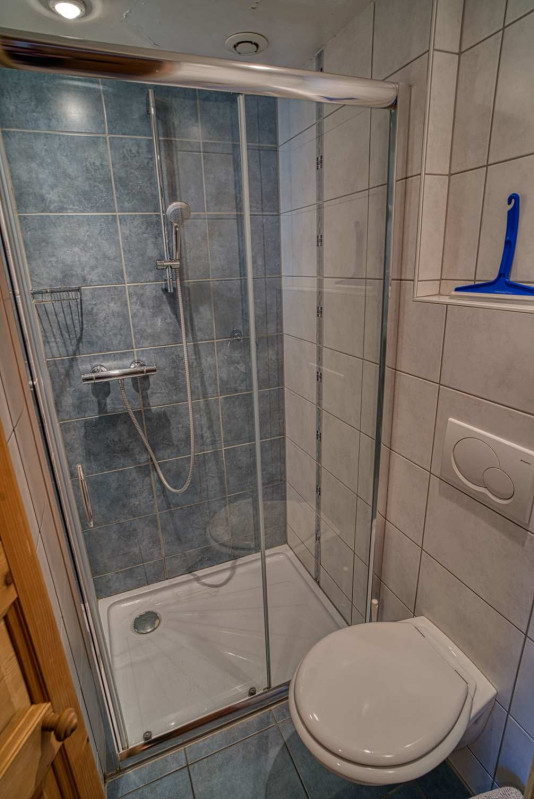 chalet La Savoyarde, Shower room, Châtel Ski 74