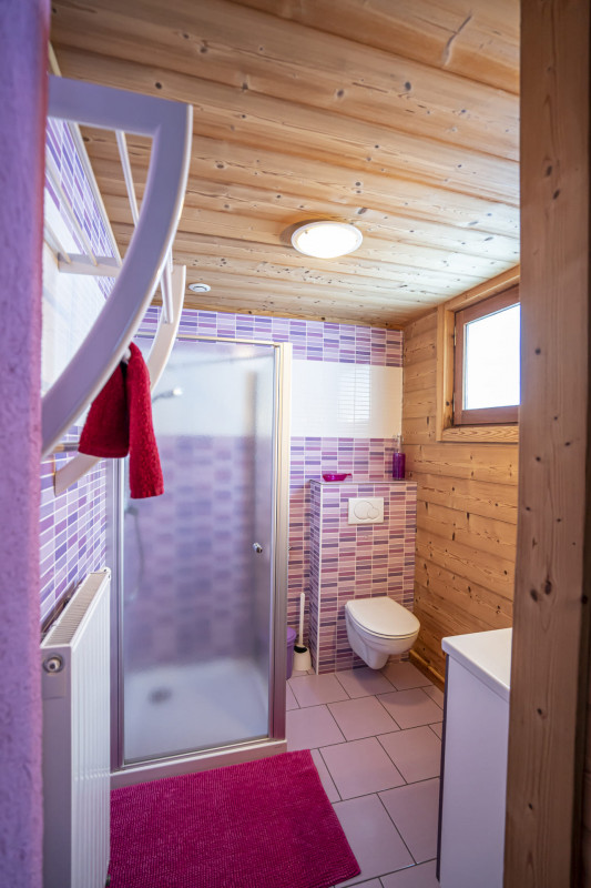 Chalet le Val d'Or, Apt n°2, Shower room, Châtel Mountains location