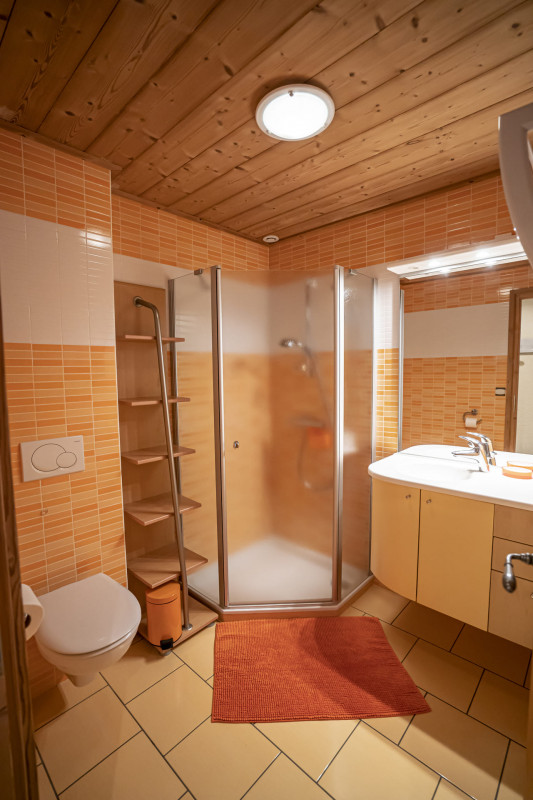 Chalet le Val d'Or, Appt n°2, Salle de douche, Châtel Location Snowboard