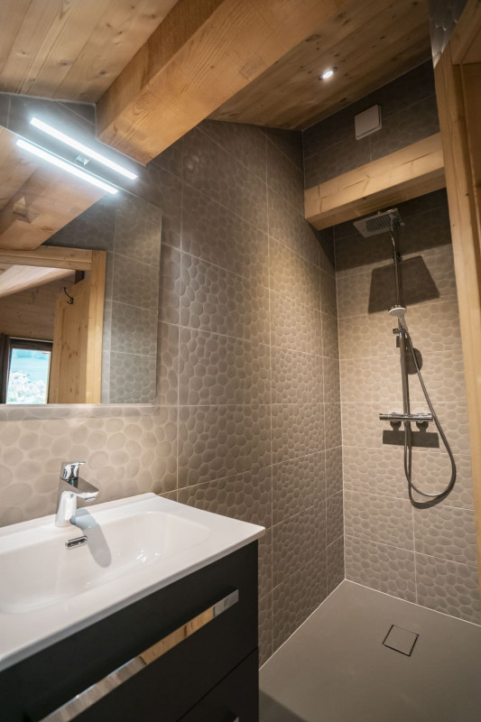 Chalet les Cerfs, Autumn, Shower room, Chatel Linga chairlift