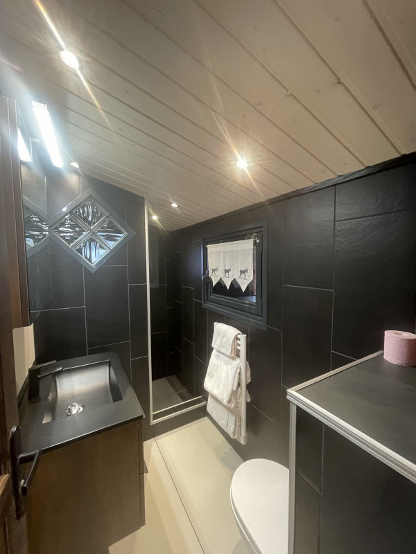 Chalet les cîmes enneigées, 4 personnes, Salle de douche/ WC, Châtel