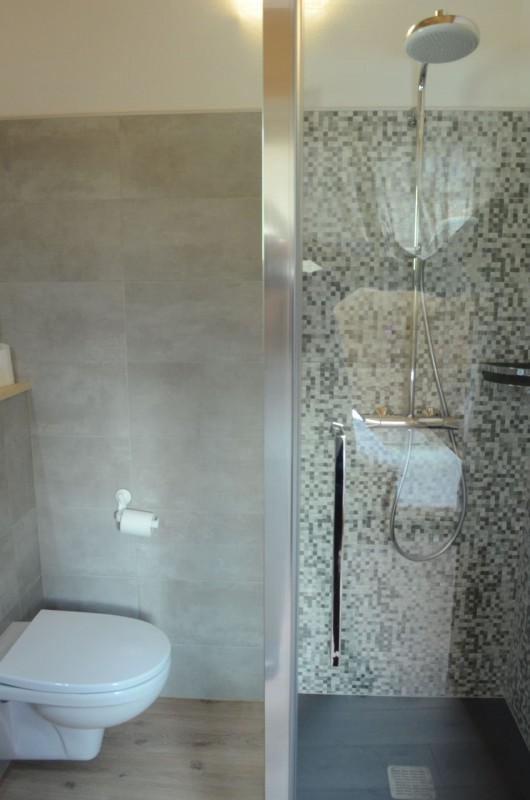 Chalet les sources, shower room in bedroom with 2 single beds + 1 pull-out bed upstairs, Châtel	