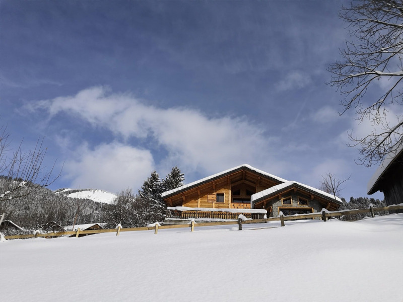 Chalet Les Vuargnes, Mountain view, Châtel Village 74