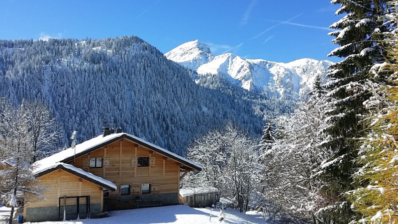 Chalet Les Vuargnes, Mountain view, Châtel Savoyard village