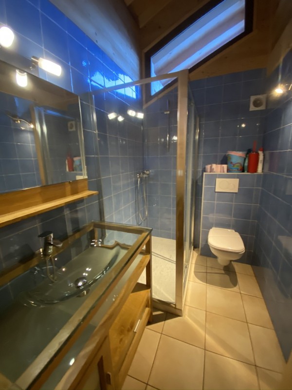 Chalet Linga Rose, Châtel, Bathroom, Winter Holidays