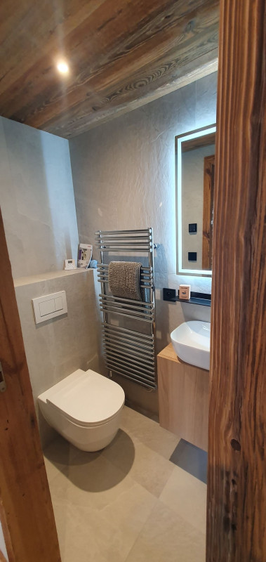 Chalet, restroom, Châtel, Abondance Valley 74