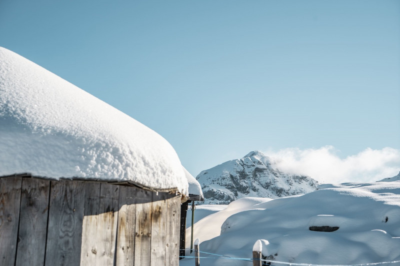 Snow in Châtel (France) during winter season