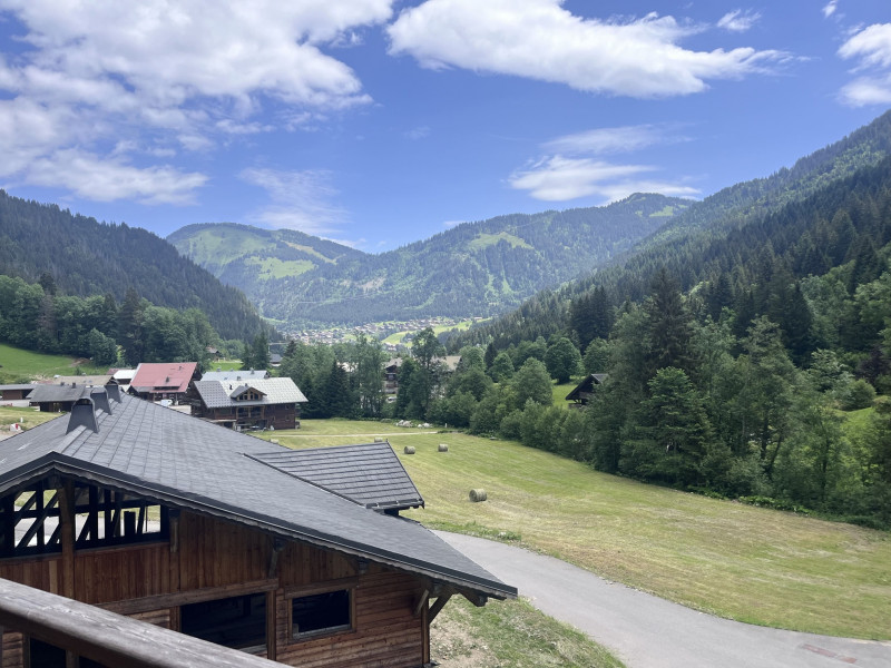 Les Lodges de Celestin 302 A – Exterior view (summer) – Countryside & mountains