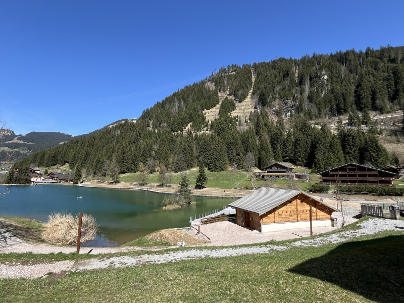 Apartment rental nr19 in residence Les Fioles, Châtel France