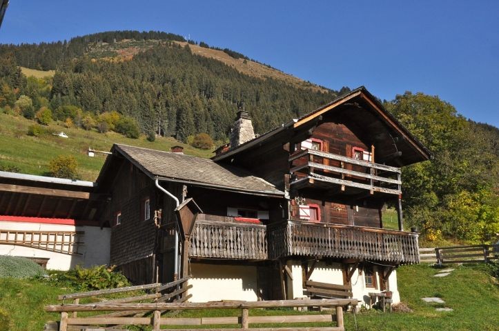 Location Chalet 4 personnes Le Mazot Châtel été