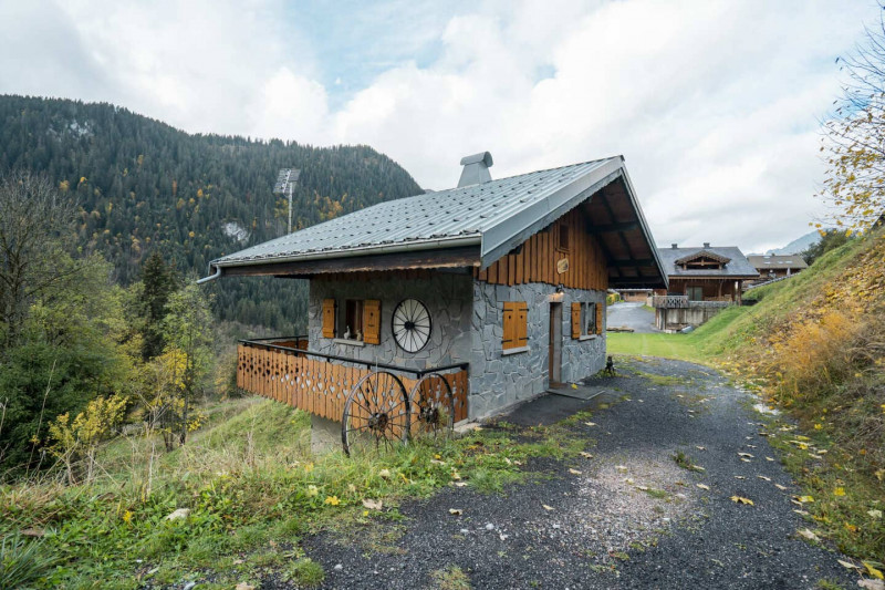 Location chalet La Fouine 5 personnes, Châtel, vacances montagne