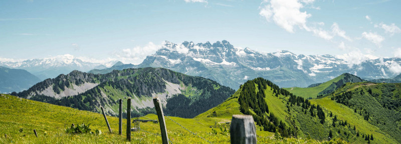 Participez à la SOW 2026, course d'orientation entre Châtel et  Morgins (CH)