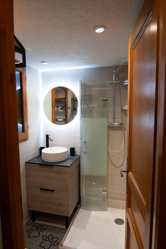 Résidence Alexandra, apartment 6, bathroom, Châtel Abondance Valley