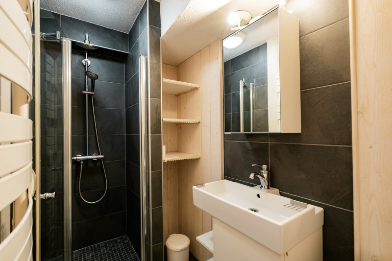 Résidence Alpina, Appartement n°8, Douche; Châtel