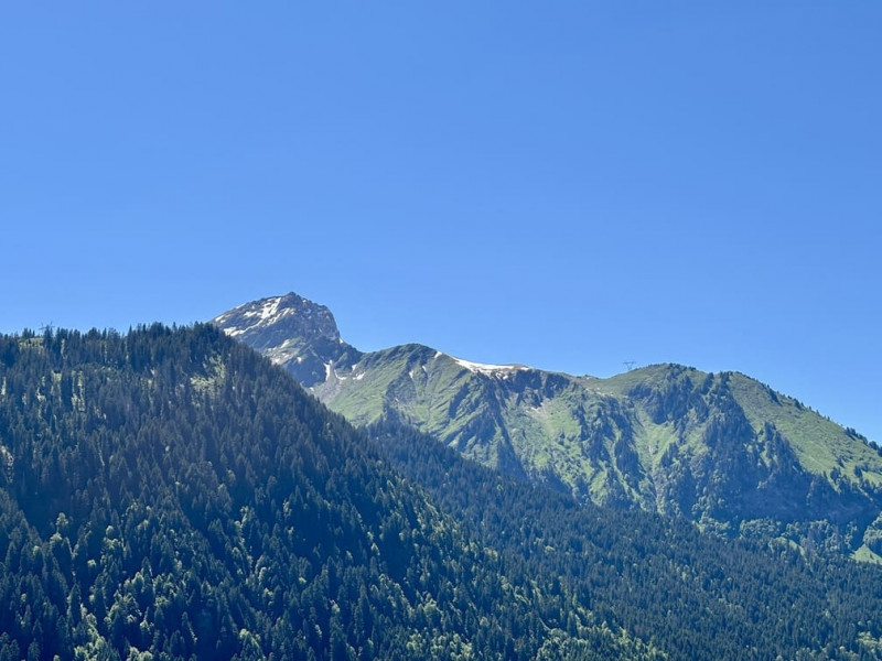 Résidence l'Alchimie, Appartement 12C, Châtel, Vue, Remontées mécaniques
