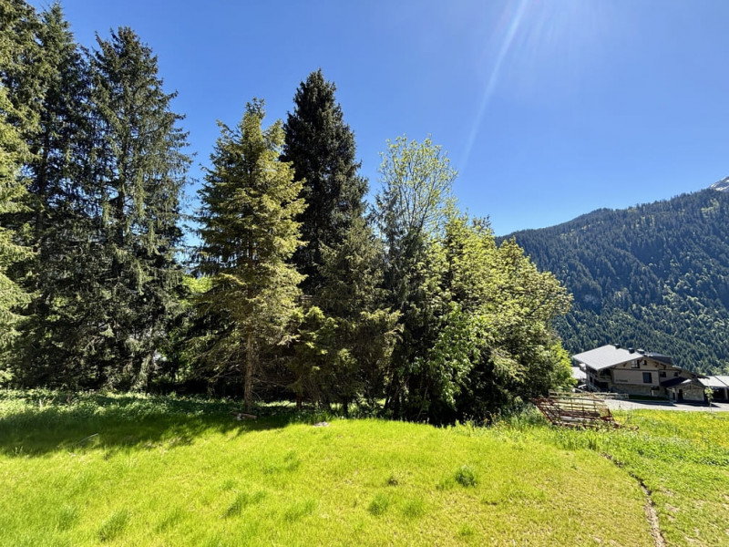 Résidence l'Alchimie, Appartement 12C, Châtel, Vue, Soleil
