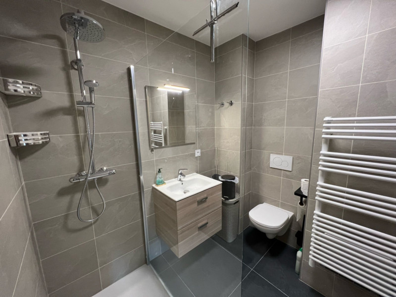 Apartment P'tite Grange n°202, Shower room and WC, Châtel 74390