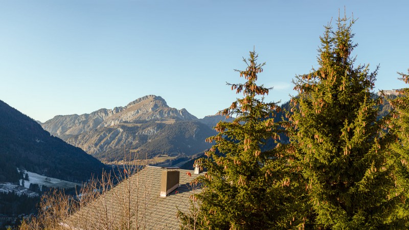 Résidence les Flambeaux, 6 personnes, Châtel, Boude, vue montagnes