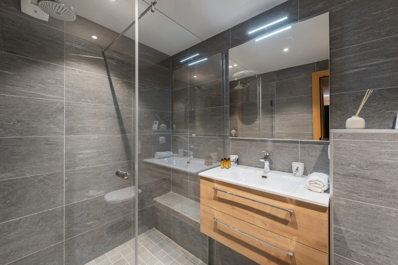 Residence the Flambeaux 8 people Châtel Boude, Shower room, Mountain ski holidays