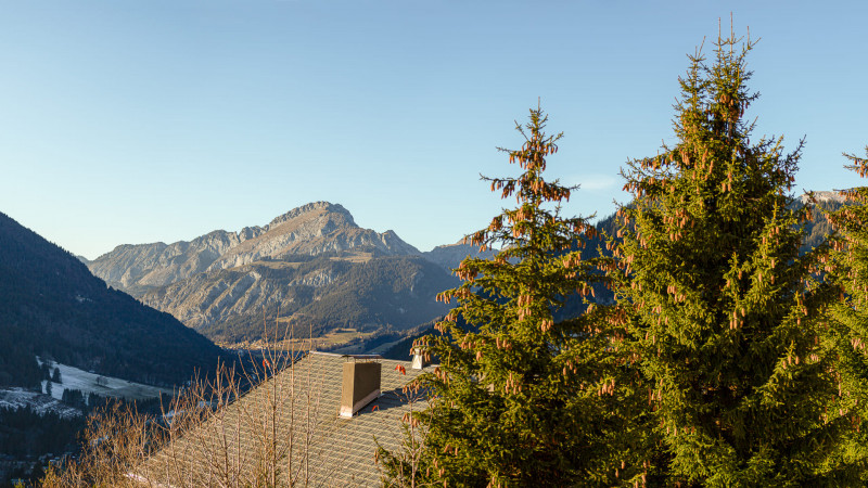 Résidence les Flambeaux, Vue montagnes, Châtel Télésiège 74