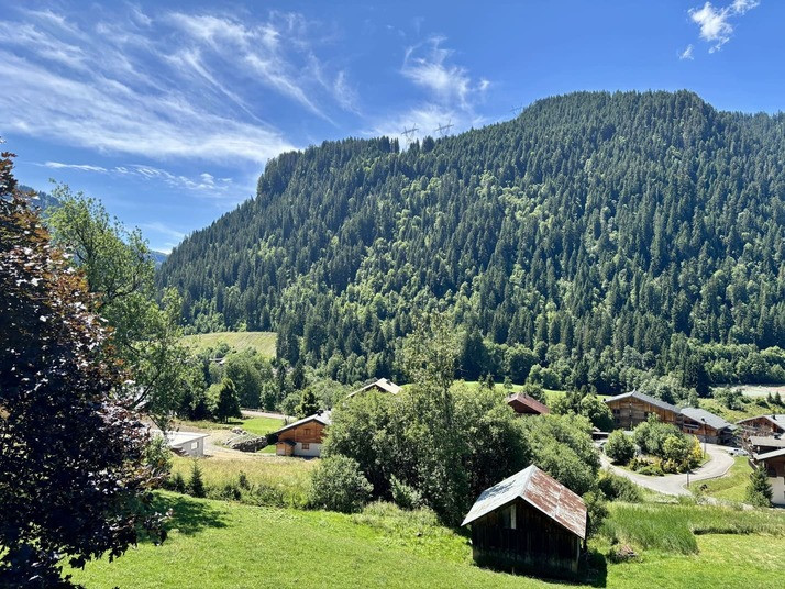 Résidence Les Gentianes, apartment B64, view from the apartment, Châtel Les Portes du Soleil