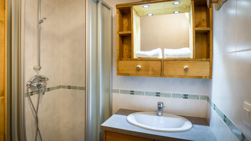 Residence Les Pins, Apartment 11, Châtel, Shower room, Ski lifts