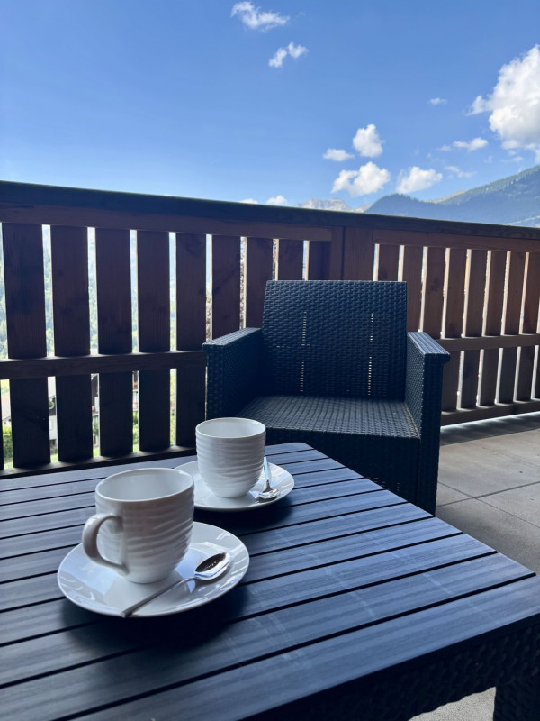 Les Soldanelles Residence, Building A, Apartment 02, terrace, Châtel Abondance cheese