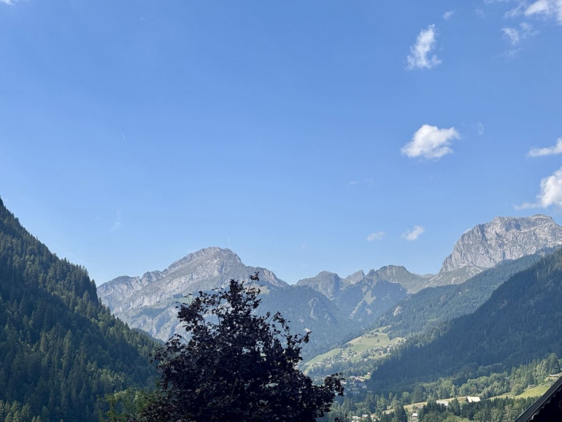 Les Soldanelles Residence, Building A, Apartment 02, mountain view, Châtel Vallée d'Abondance 74390