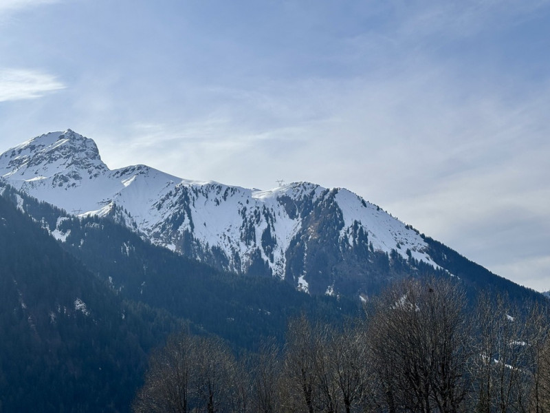 Résidence Yéti 3, Appartement 29, 6 personnes, Petit Châtel, vue sur les sommets, Les Portes du Soleil Châtel