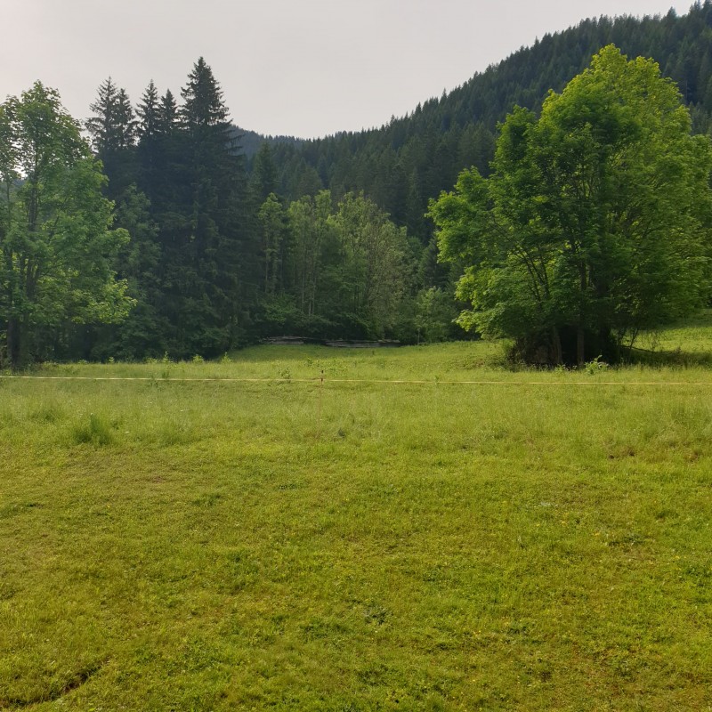 Studio 3 personnes, Châtel, Résidence les Avenières 5A jardin