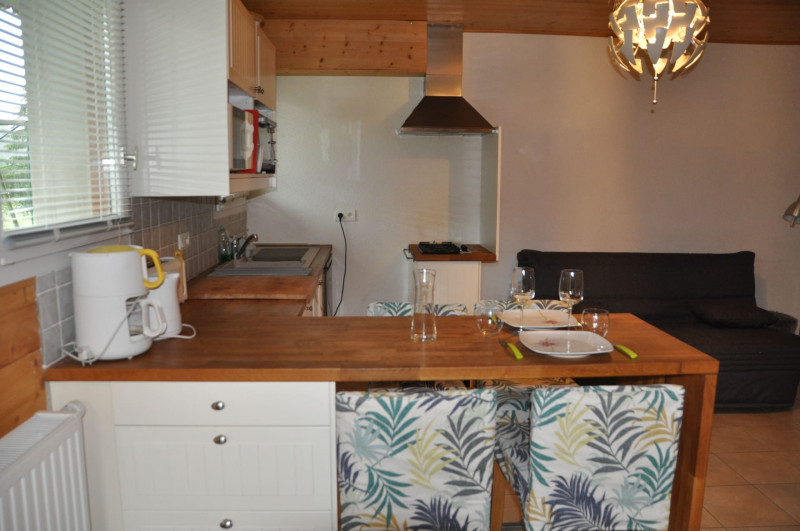 Studio n°4 in chalet The Bouquetins, Kitchen, Châtel Mountain 74