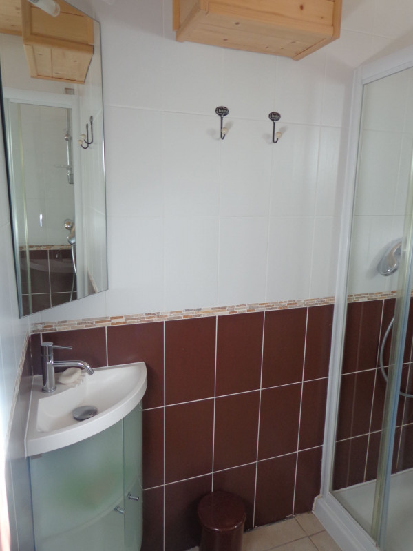 Studio n°4 in chalet The Bouquetins, Shower room, Châtel Rental 74