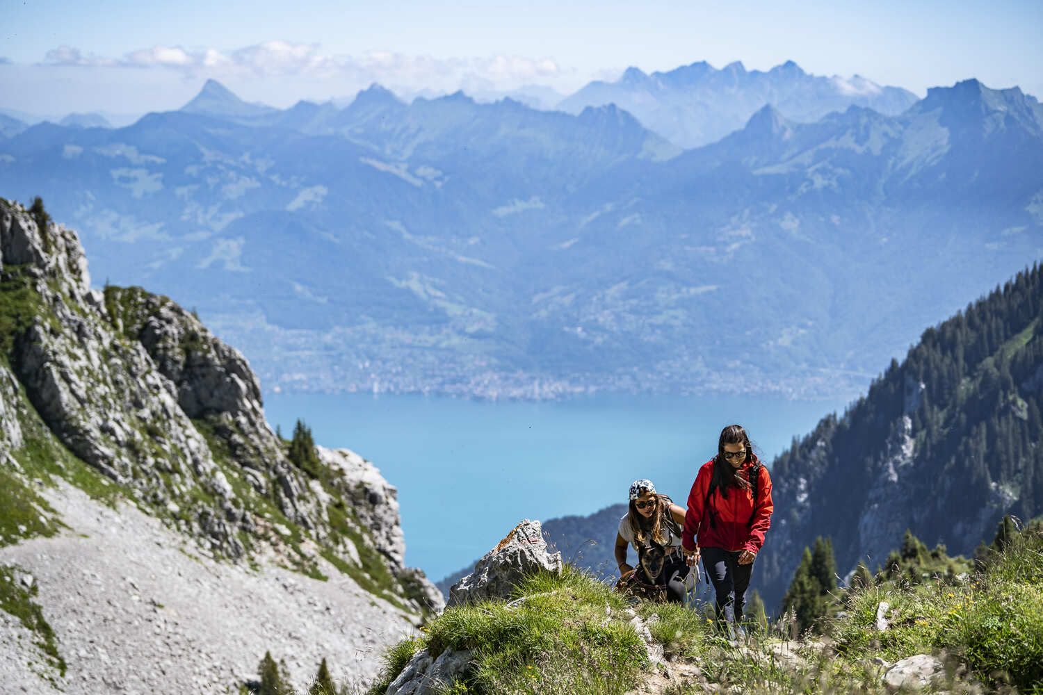 Randonner avec un chien en été à Châtel