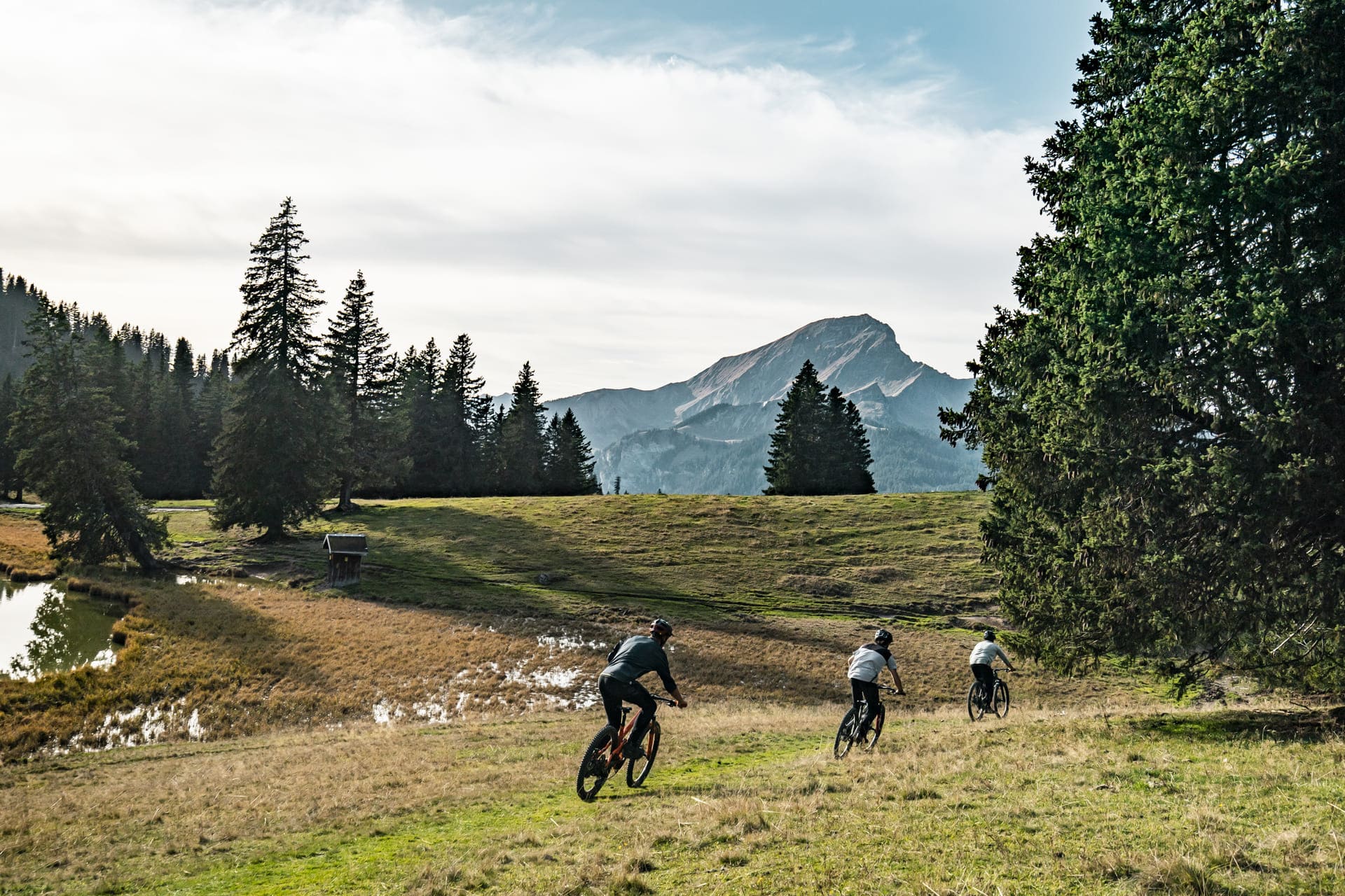 Séjour VTT au Gîte La Savoyarde Châtel, été 2024