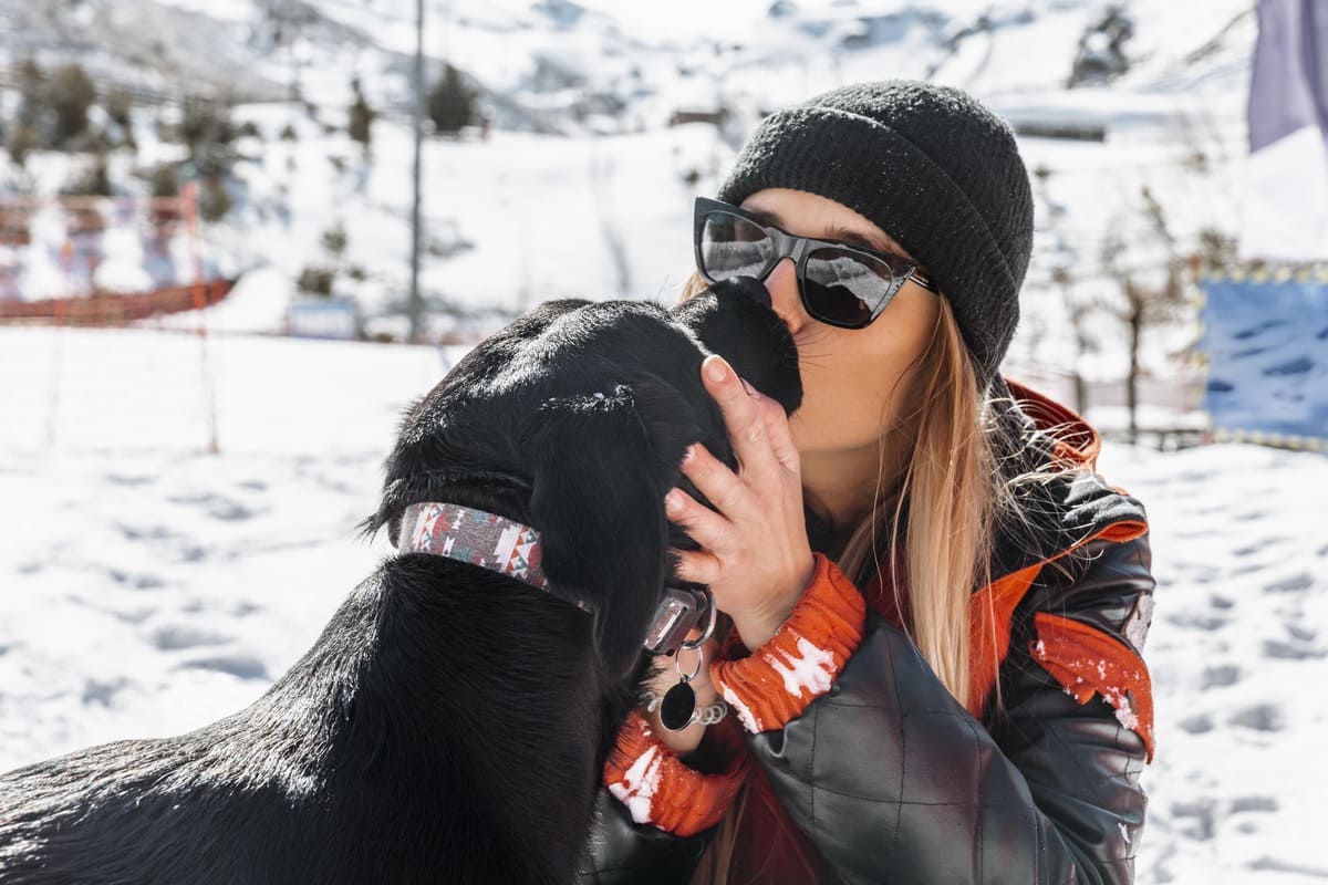 Vacances à Châtel avec un chien en hiver Vacances à Châtel avec un chien en hiver