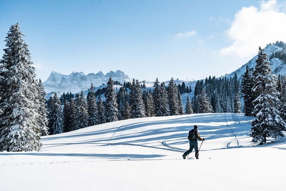 Mountain holiday and nature in Chatel